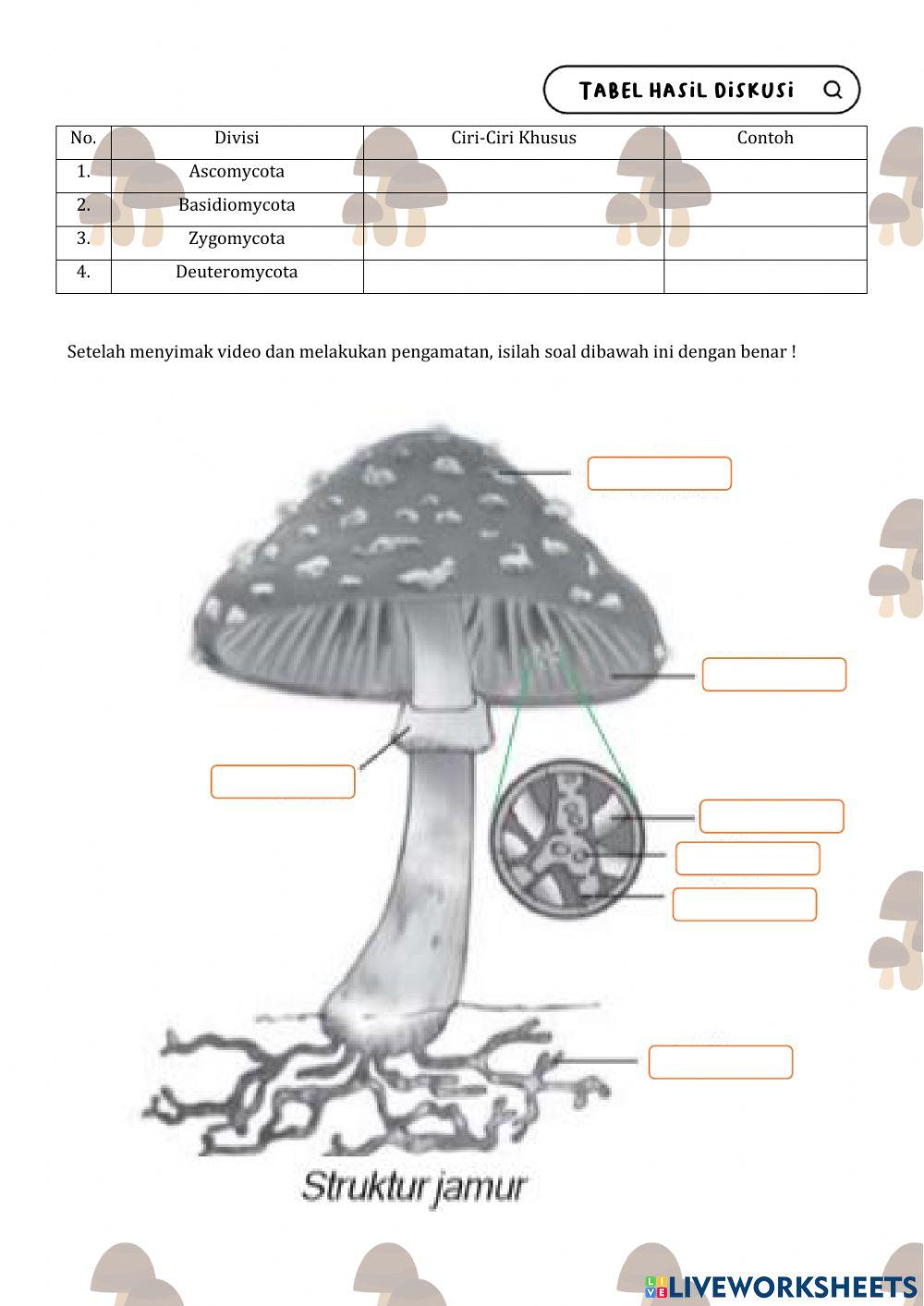 Petunjuk Praktikum Jamur