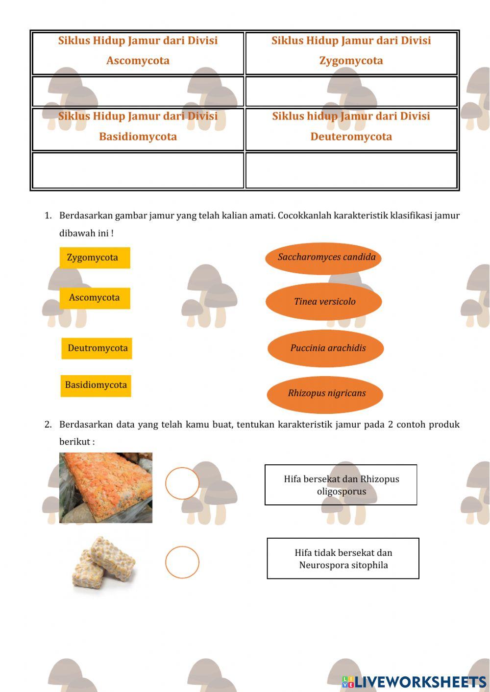 Petunjuk Praktikum Jamur