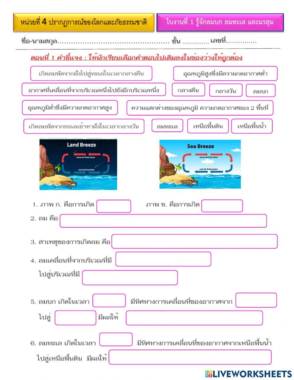 ใบงานลมบกลมทะเลและมรสุม