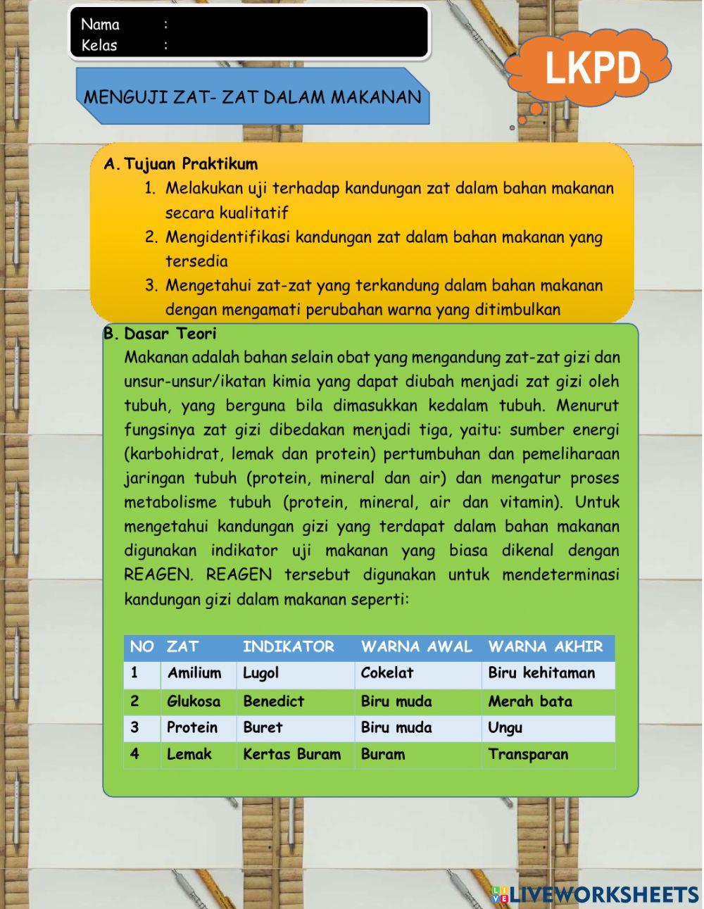 Pencernaan Mekanis dan Kimiawi