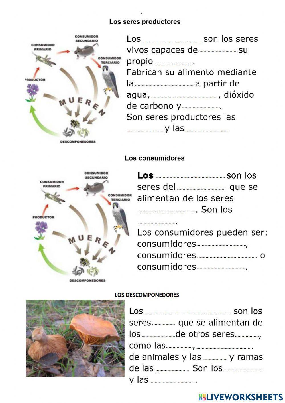 Funciones seres vivos en un  ecosistema