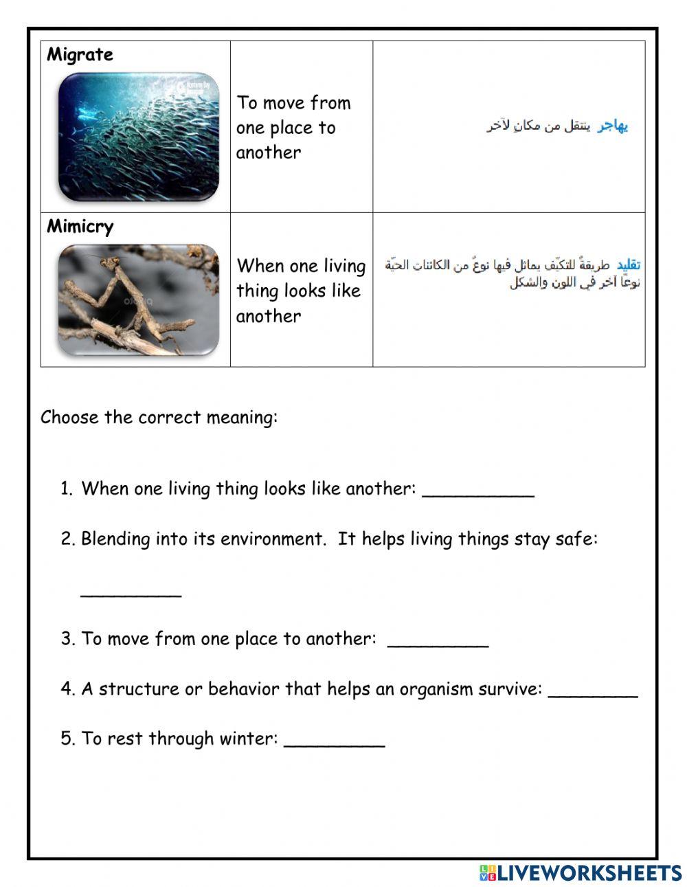 Gr 3 science review unit 3 lesson 2 adaptations and variations