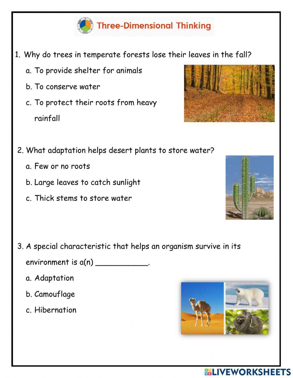Gr 3 science review unit 3 lesson 2 adaptations and variations