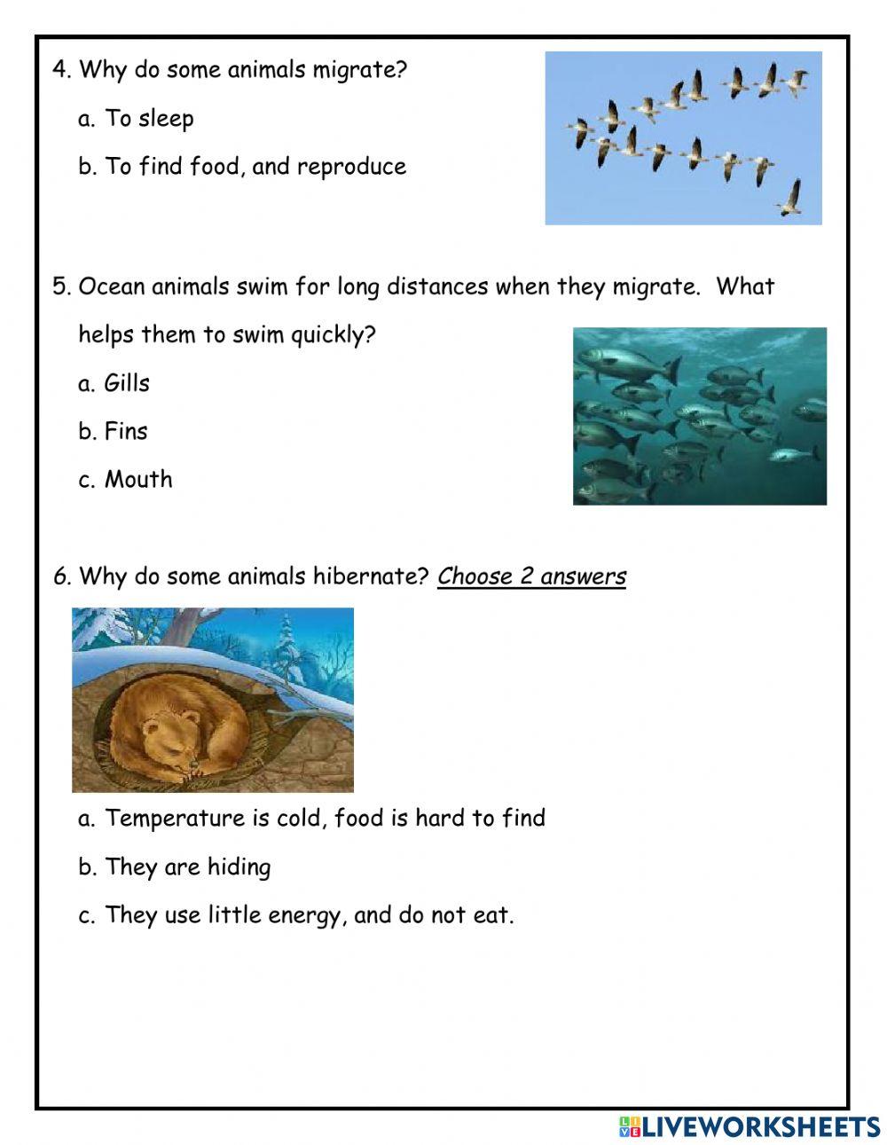 Gr 3 science review unit 3 lesson 2 adaptations and variations