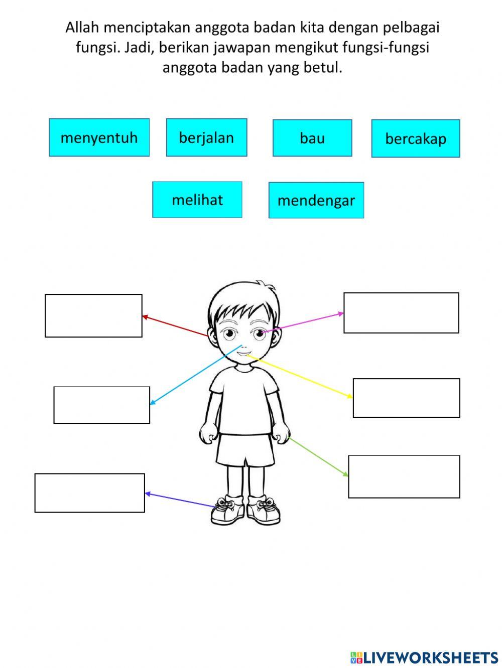 Latihan pengukuhan aqidah t1