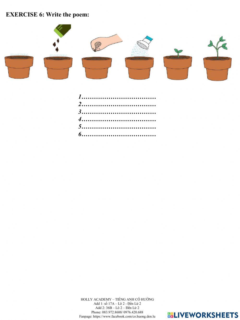 WS: Plant a little seed