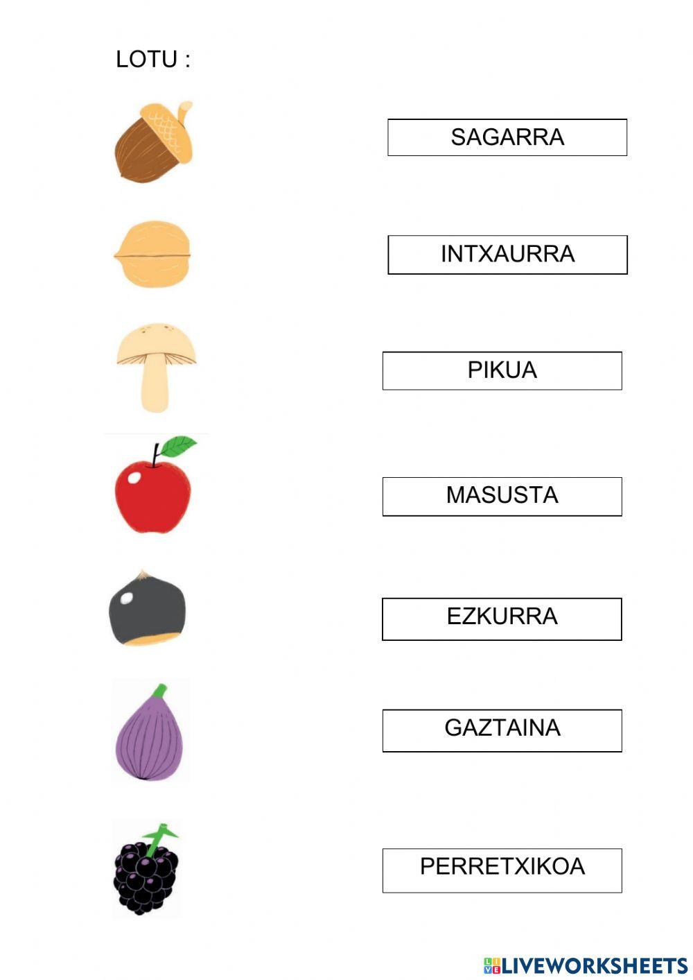 Badauzkat nire zulotxoa... lotu