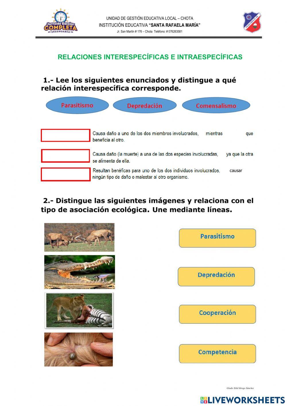 Relaciones intra e interespecíficas