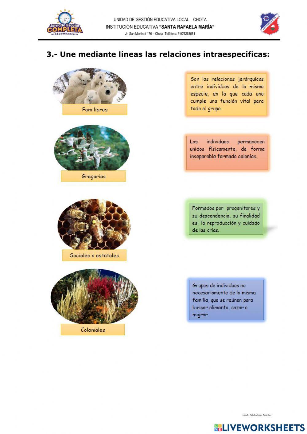 Relaciones intra e interespecíficas