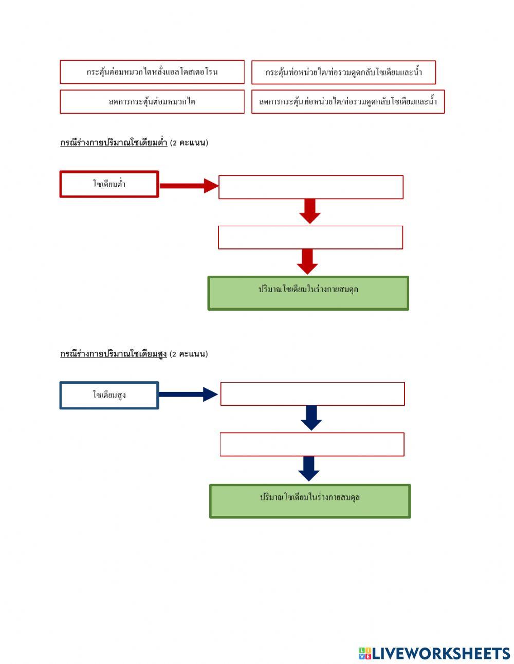 สมดุลน้ำ