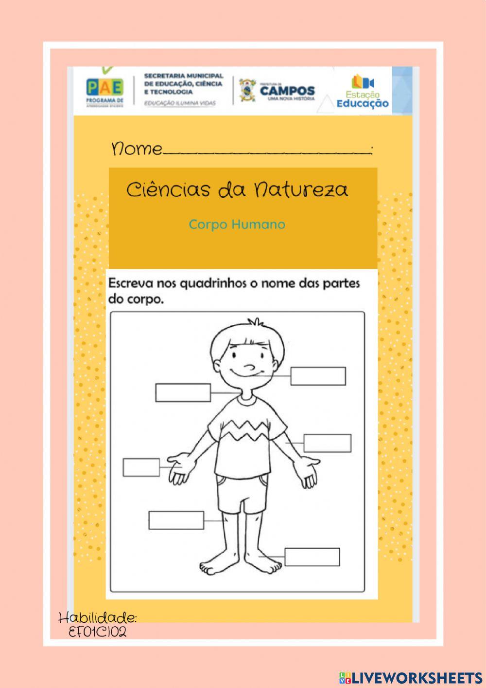 Partes do Corpo Partes do Corpo