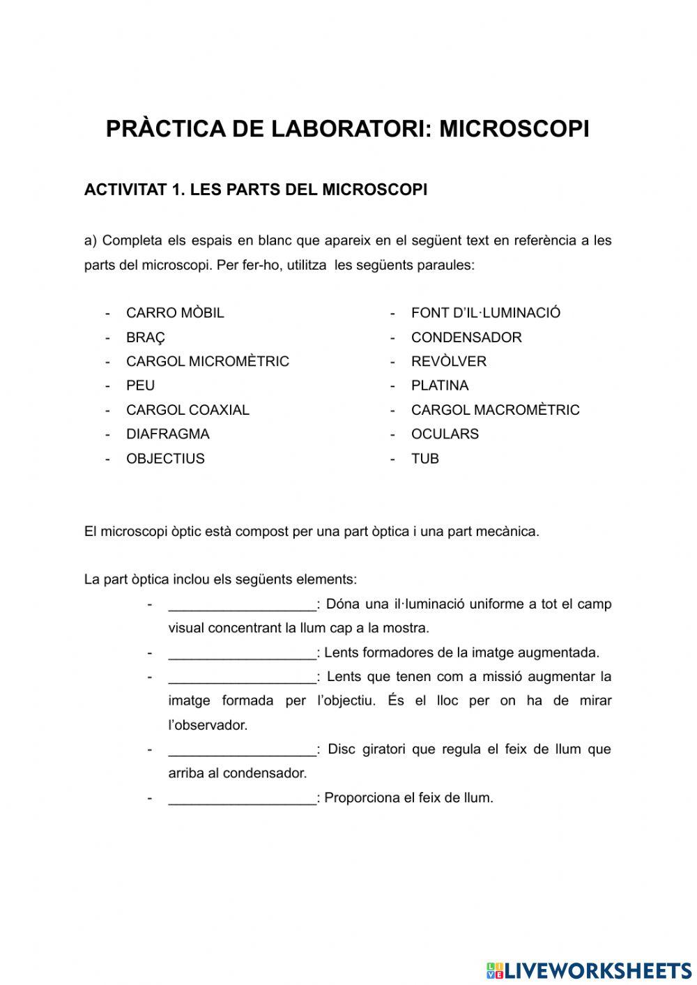 Pràctica de laboratori: Microscopi