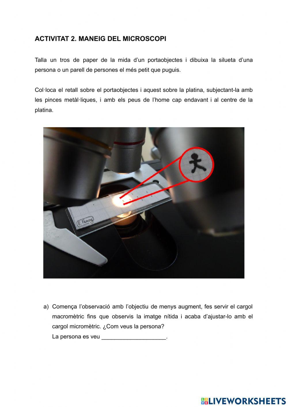 Pràctica de laboratori: Microscopi