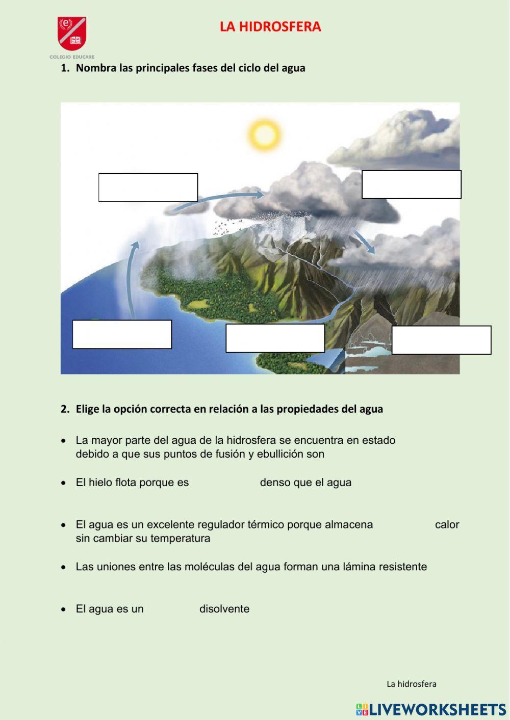 El ciclo y propiedades del agua