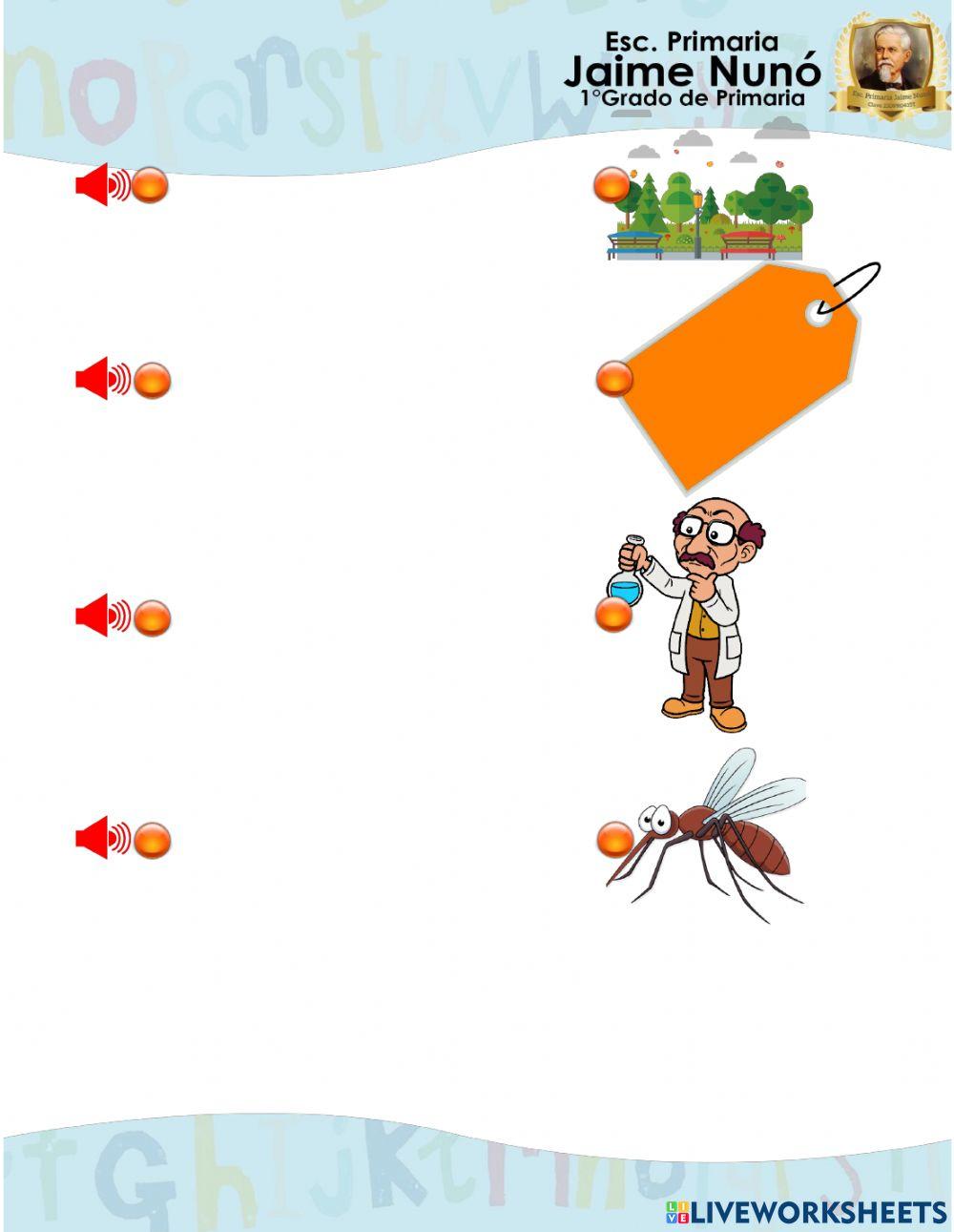 Une el audio con la imagen correspondiente Silaba Que y Qui