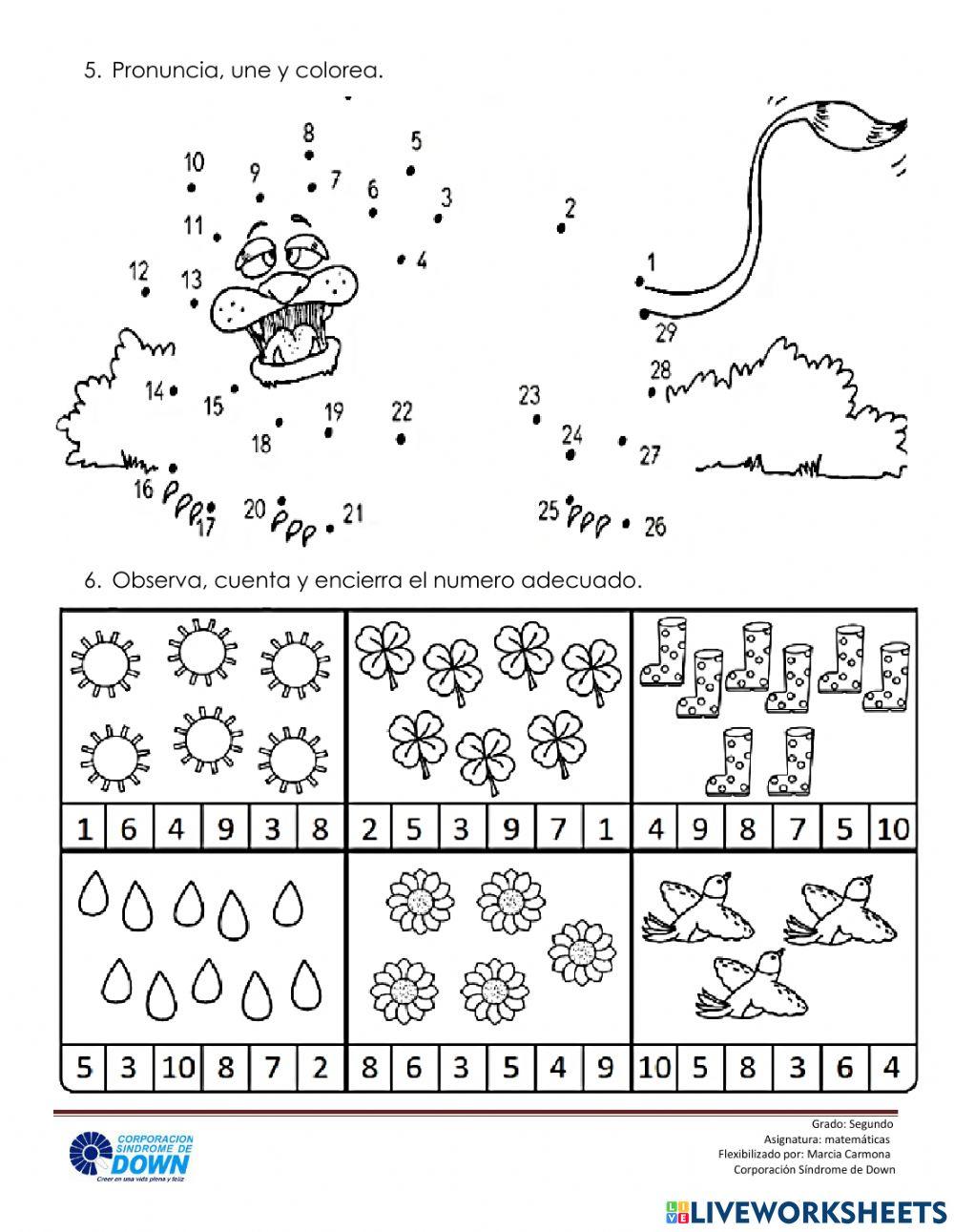 Familia de número 20 -30