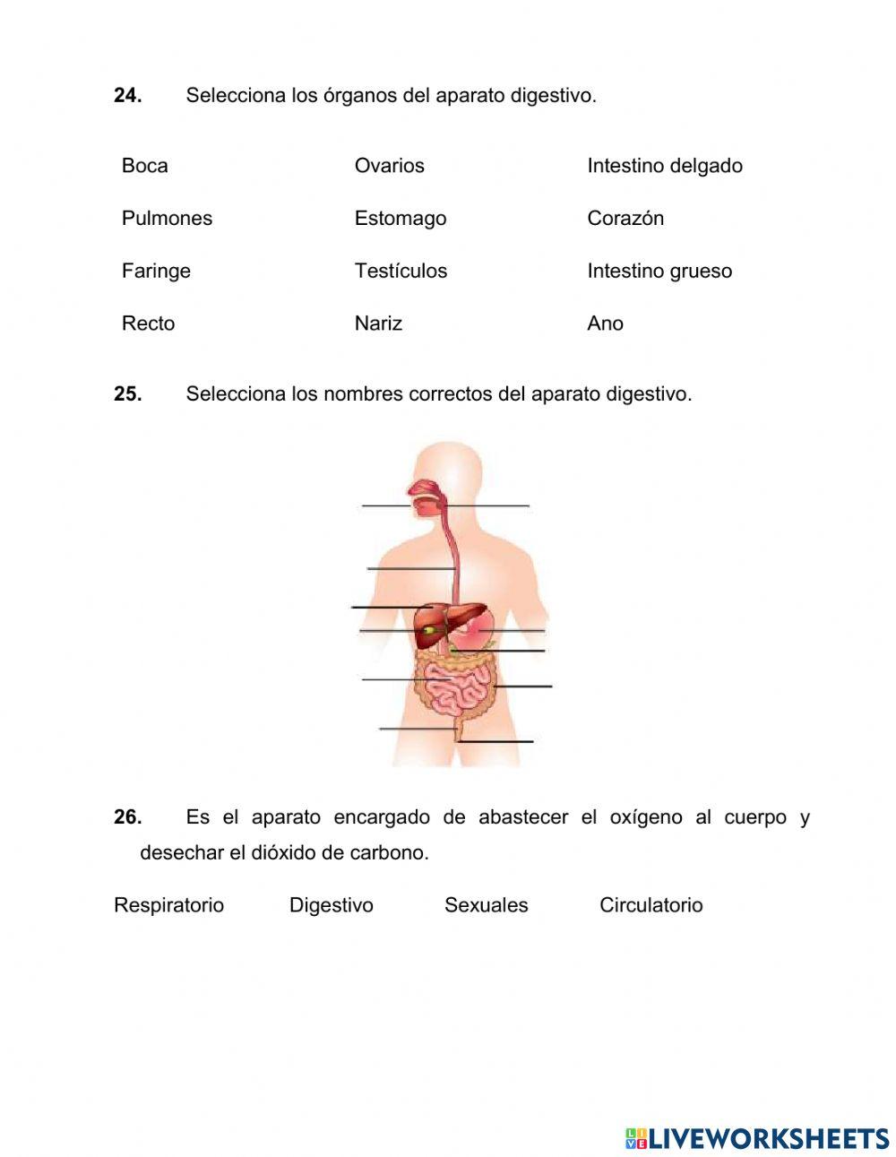 Repaso de ciencias naturales