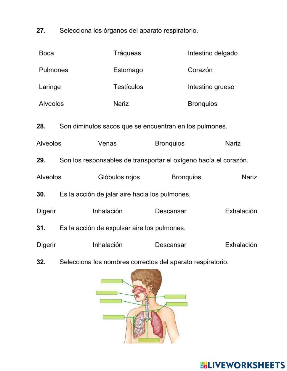 Repaso de ciencias naturales