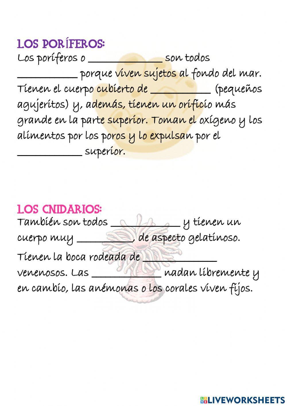 Animales Invertebrados