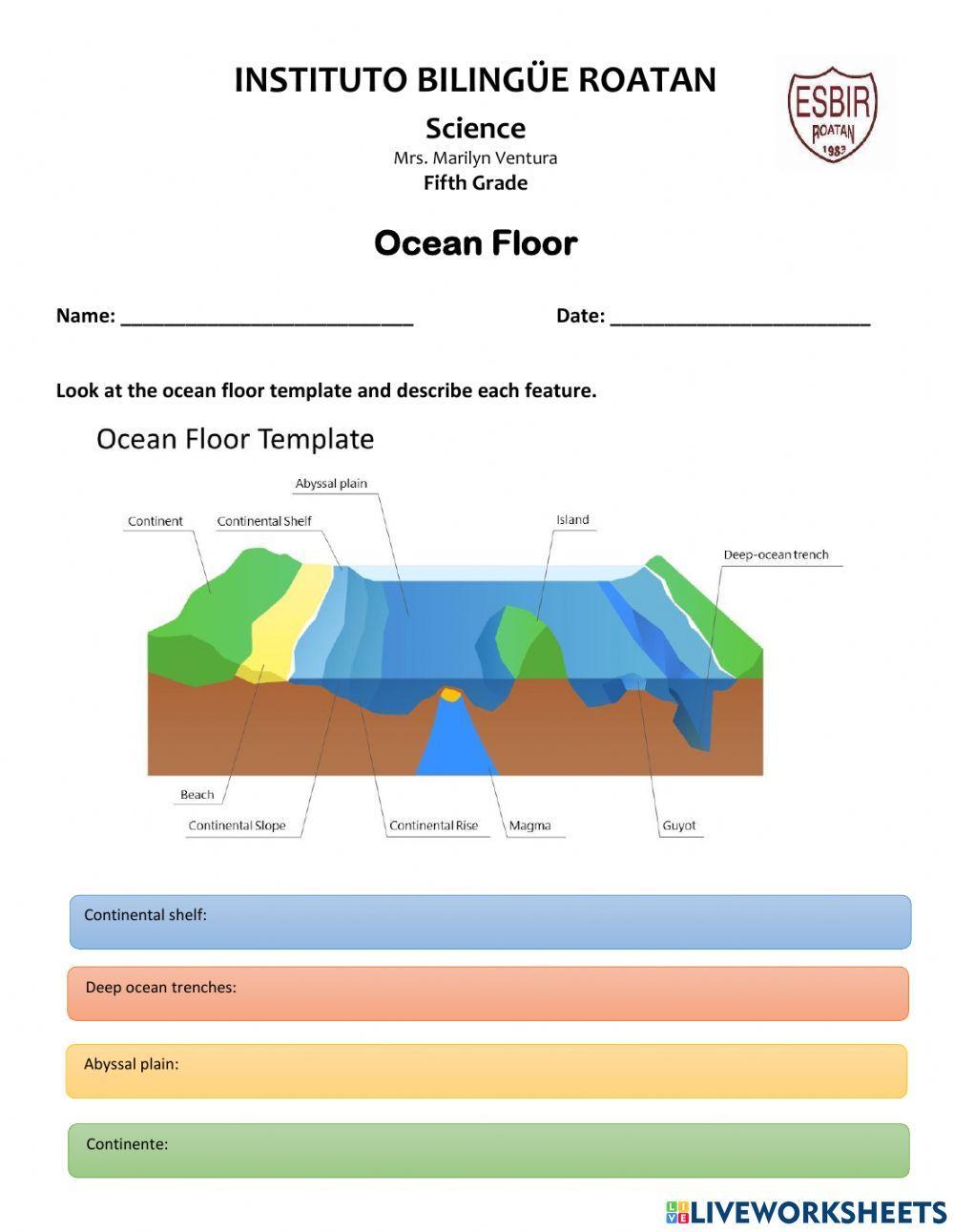 Ocean Flor Worksheet Live Worksheets