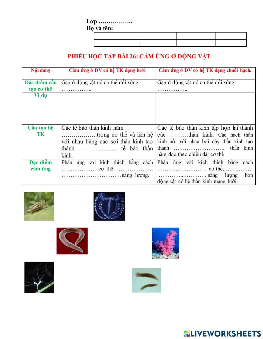 Bài 26 cảm ứng ở động vật