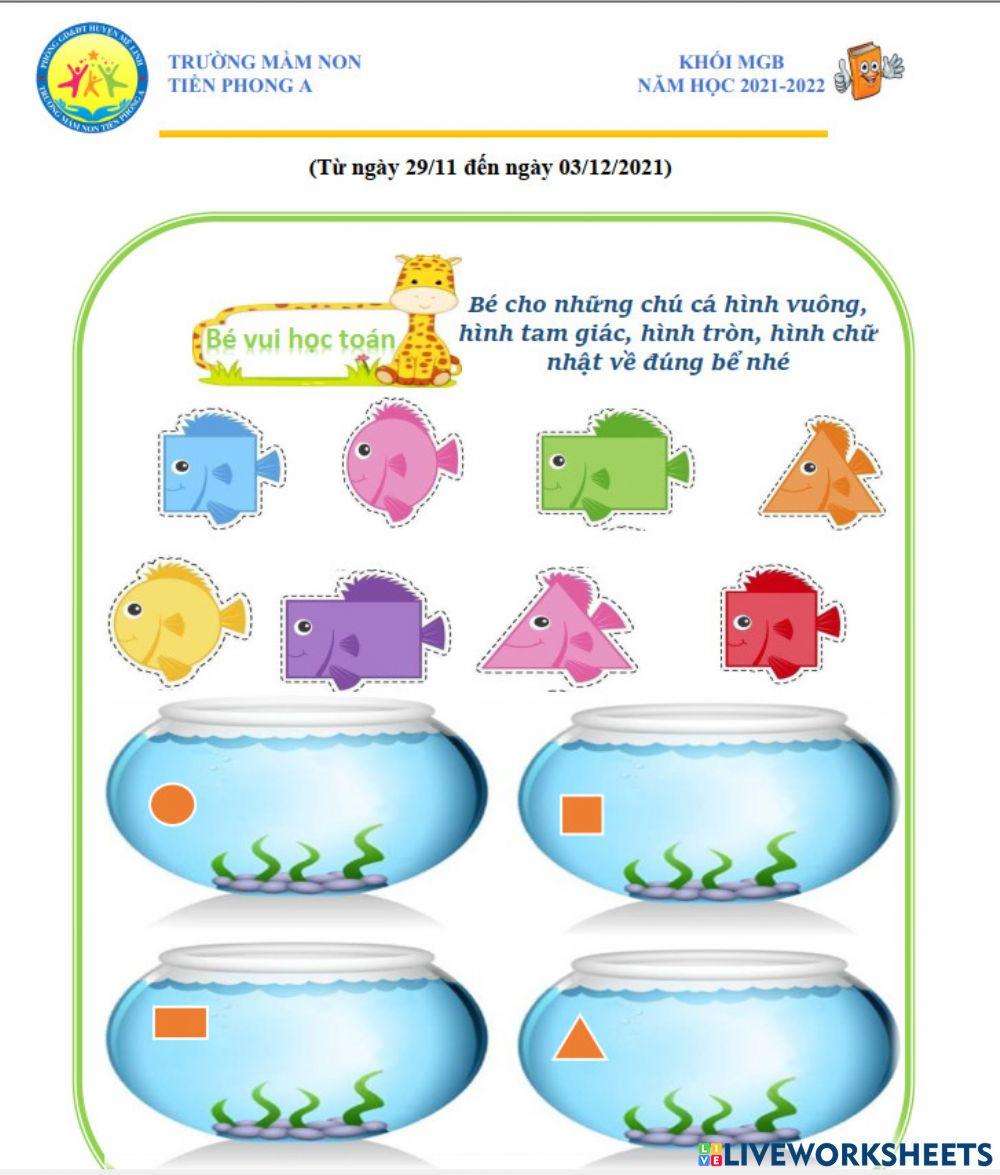 Bé hãy đưa các chú cá về đúng chậu của mình nhé