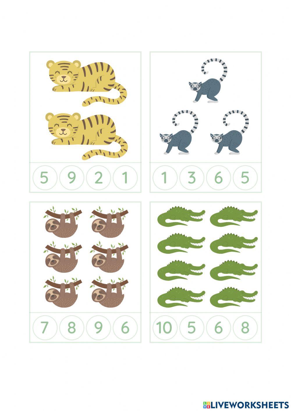 Menghitung Jumlah Binatang