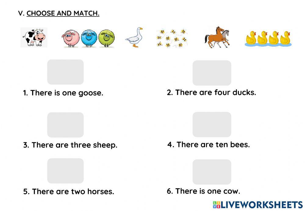 Revision worksheet 1