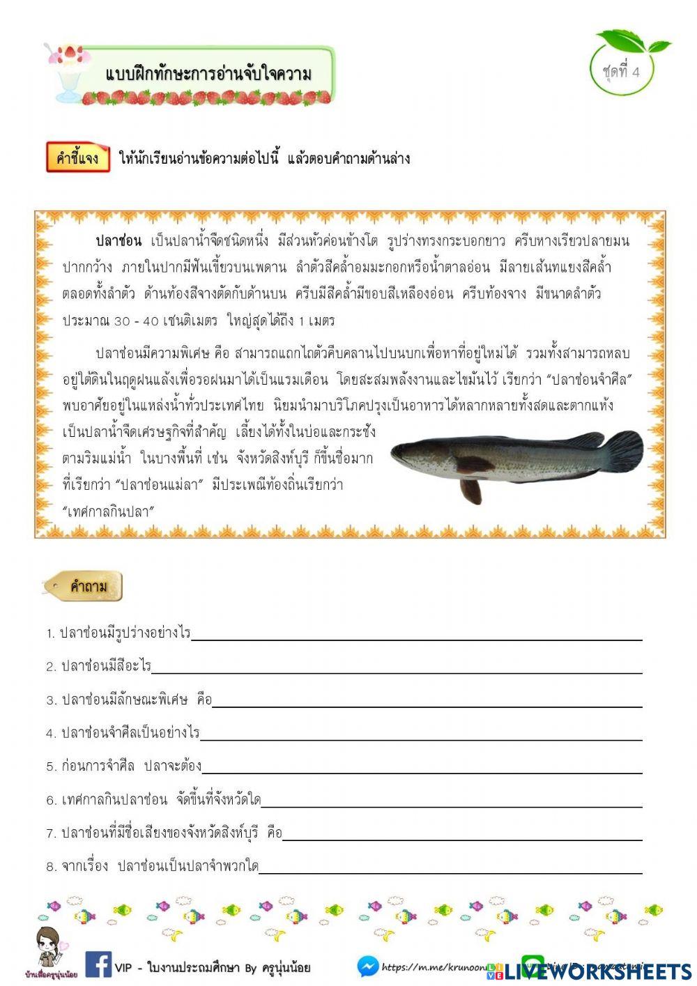 อ่านจับใจความสำคัญ