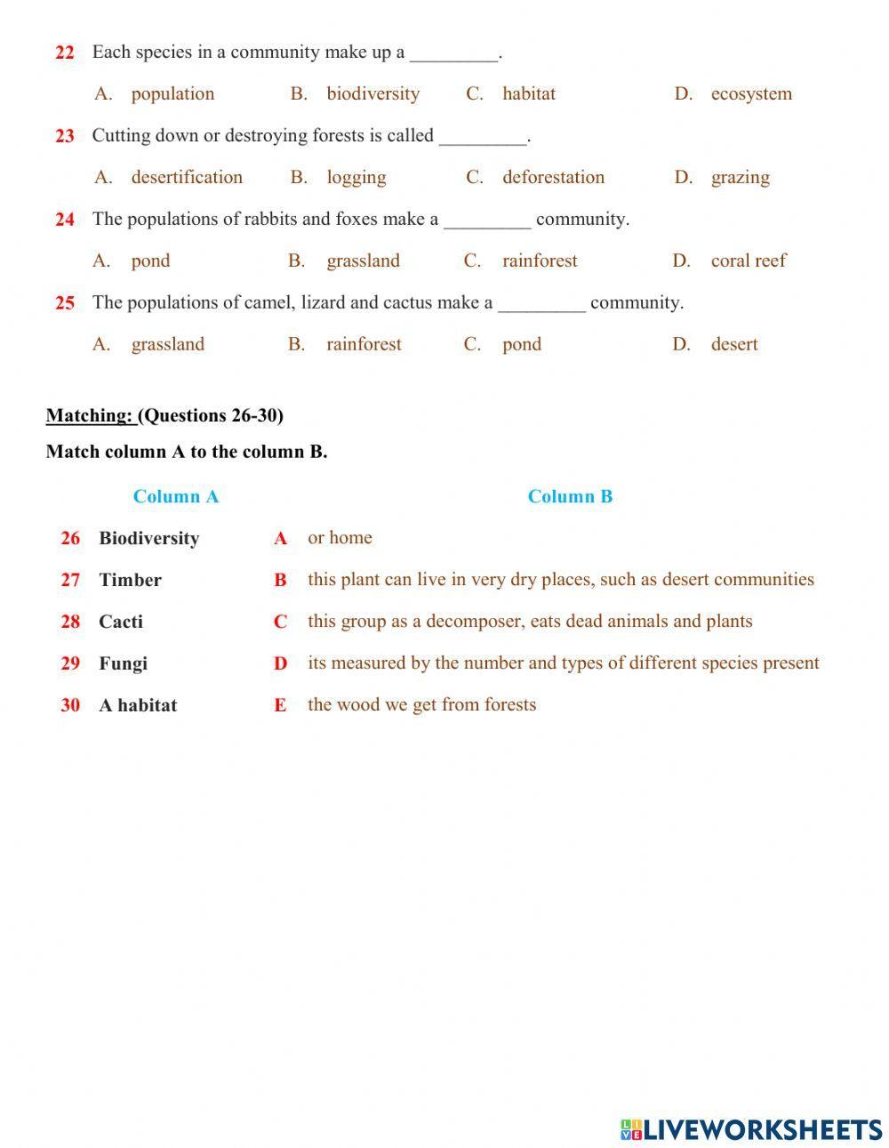 Worksheet