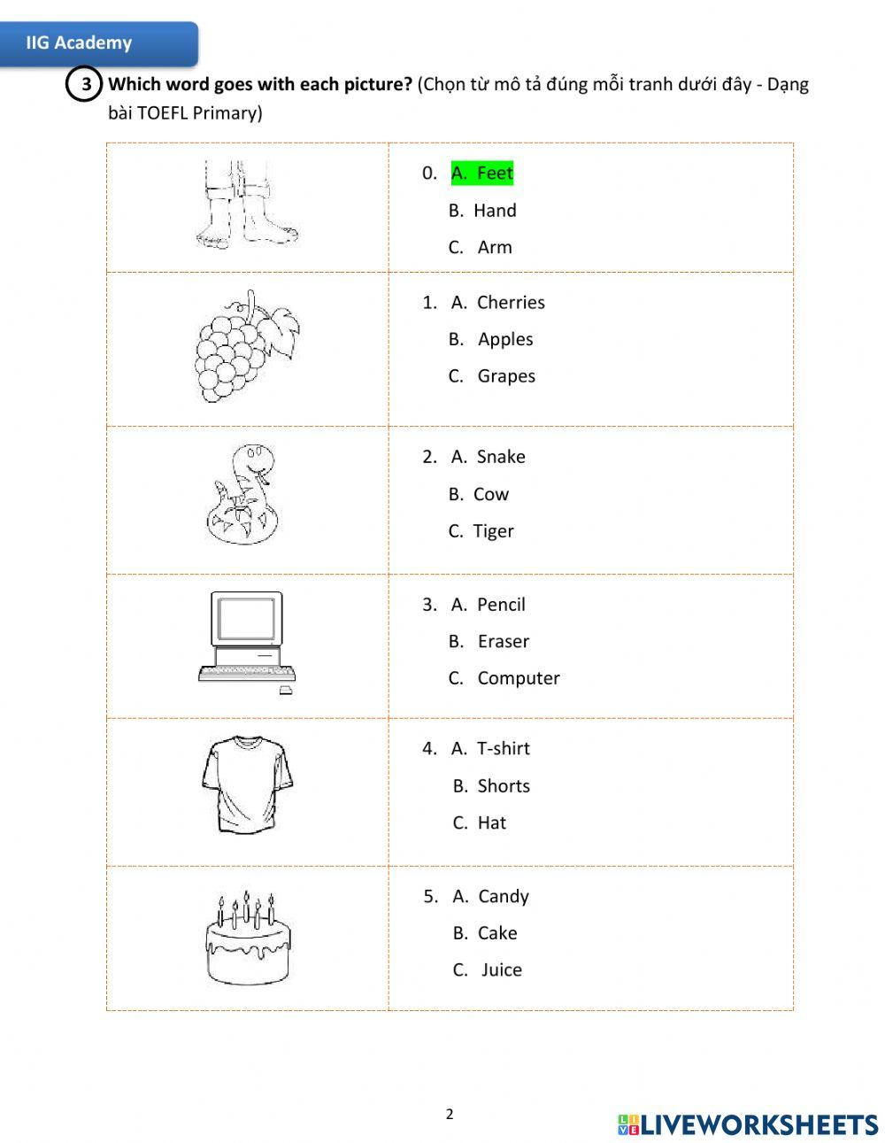 IIG-Grade 3-Worksheet 13