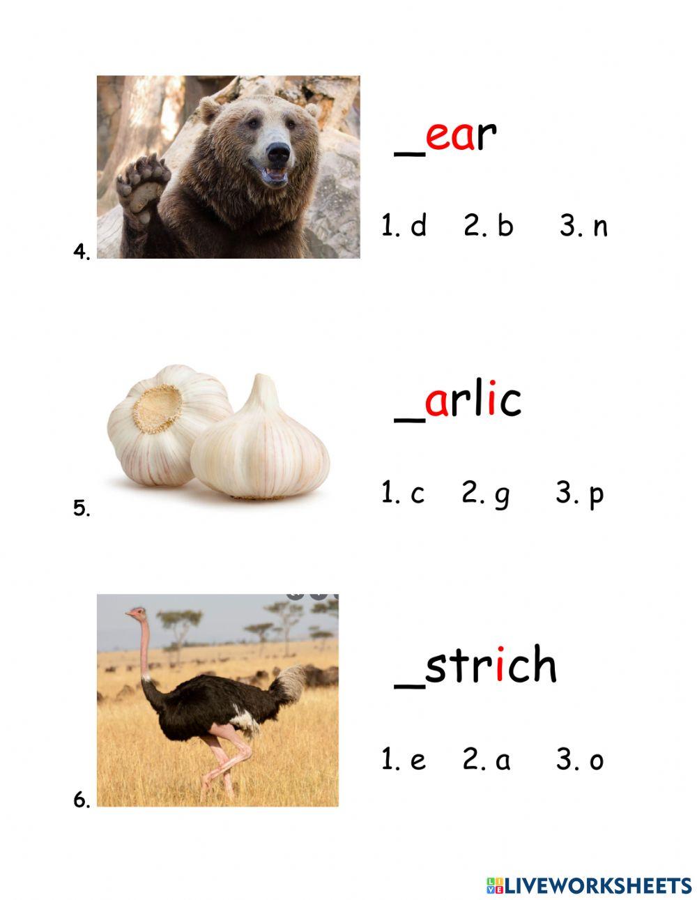 Phonics 3: summary