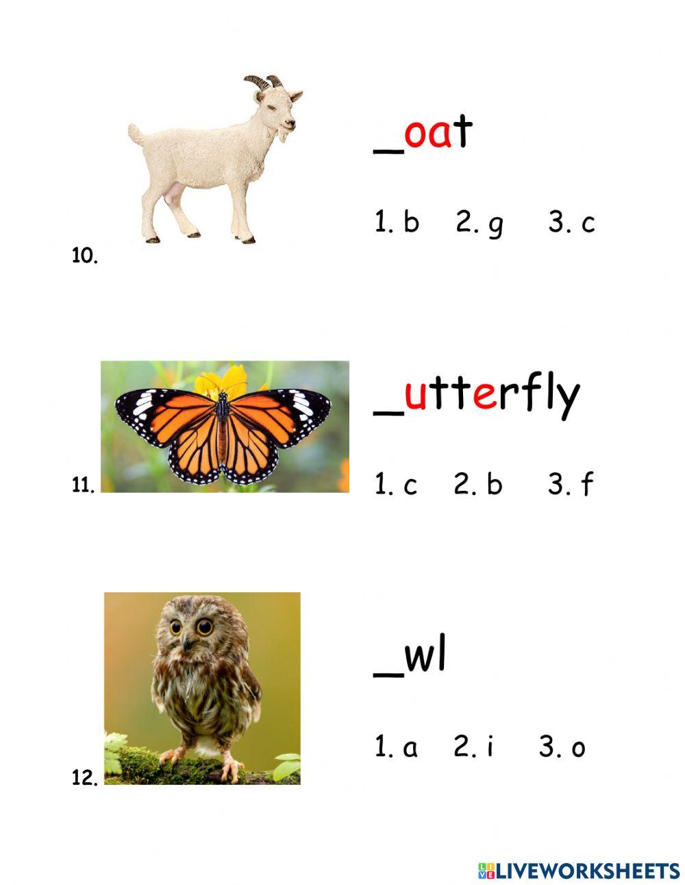 Phonics 3: summary