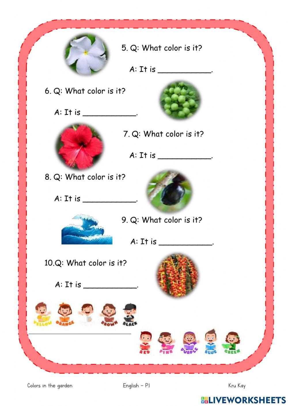 Colors in the garden 2