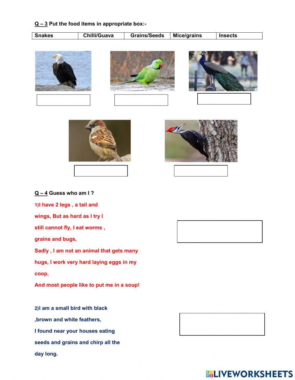 VME CLASS 3 FLYING HIGH PRACTICE WORKSHEET