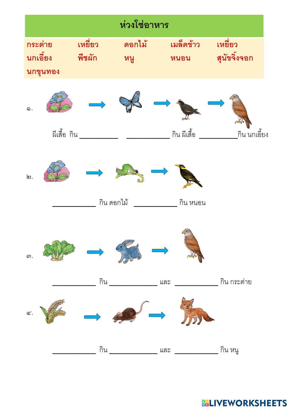 ห่วงโซ่อาหาร