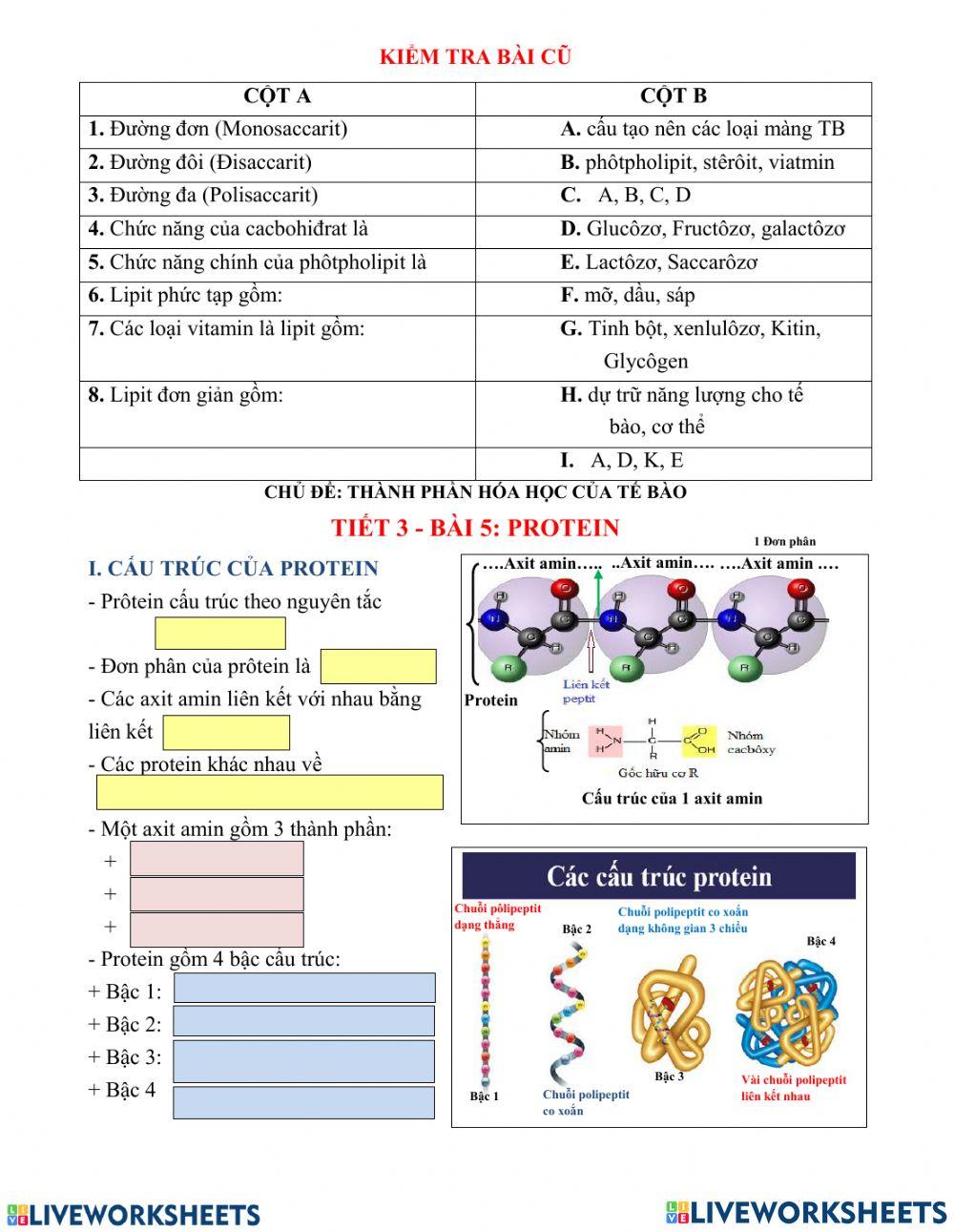 Ôn thi tnthpt môn sinh học