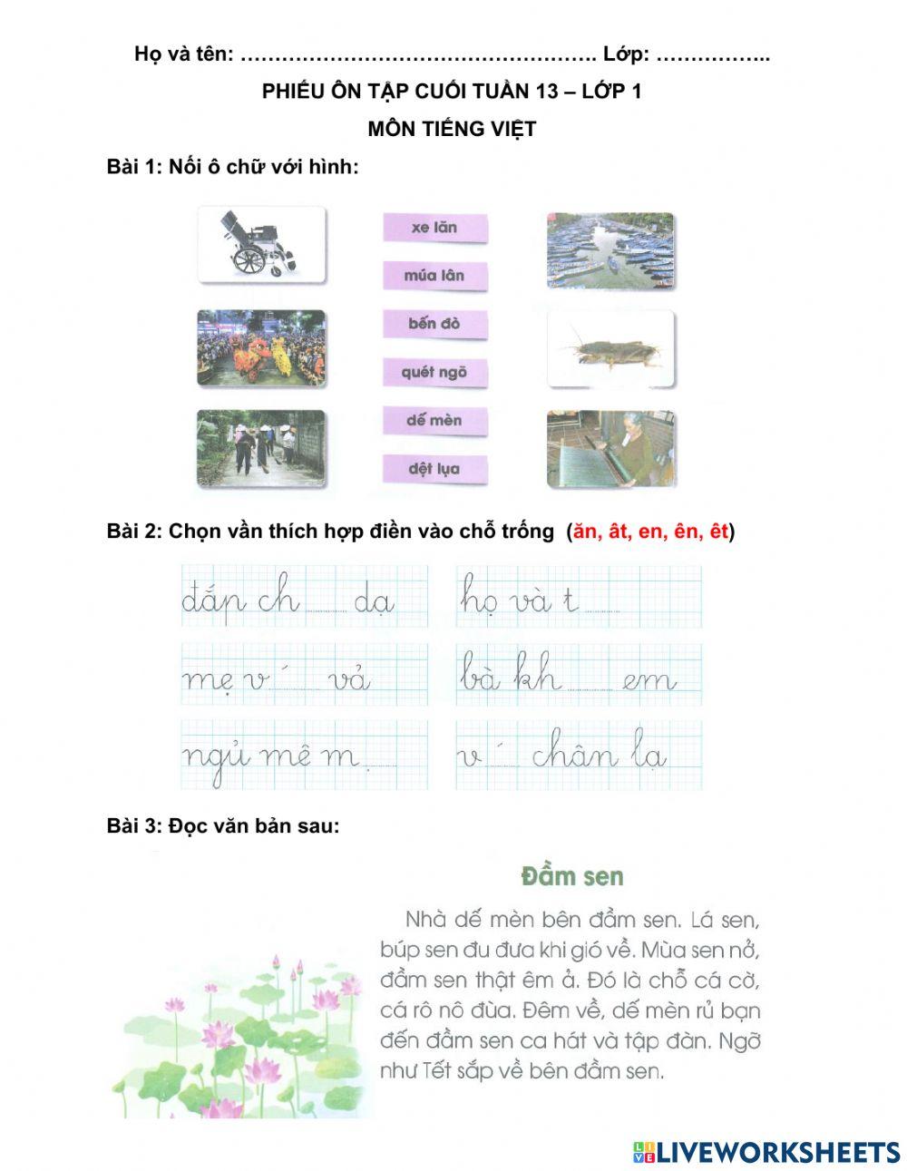 Phiếu ôn tập tuần 13 - môn TV