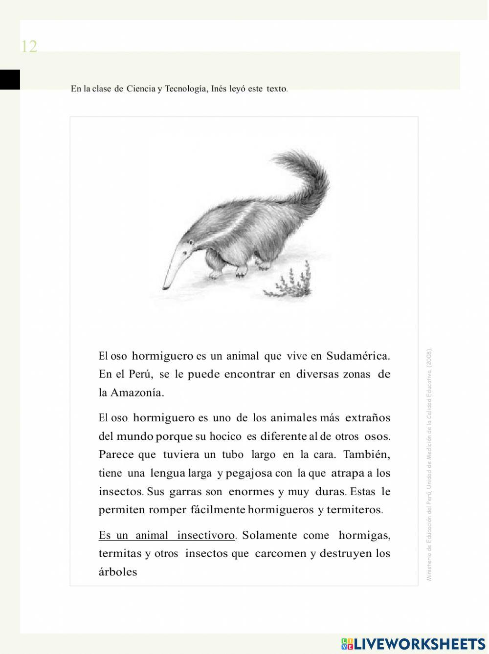 Evaluación de comunicación