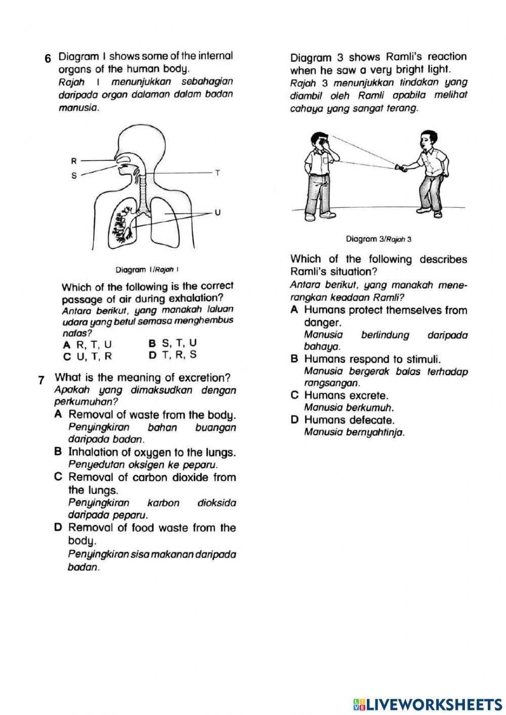 Kuiz sains akhir tahun - tahun 4 dlp