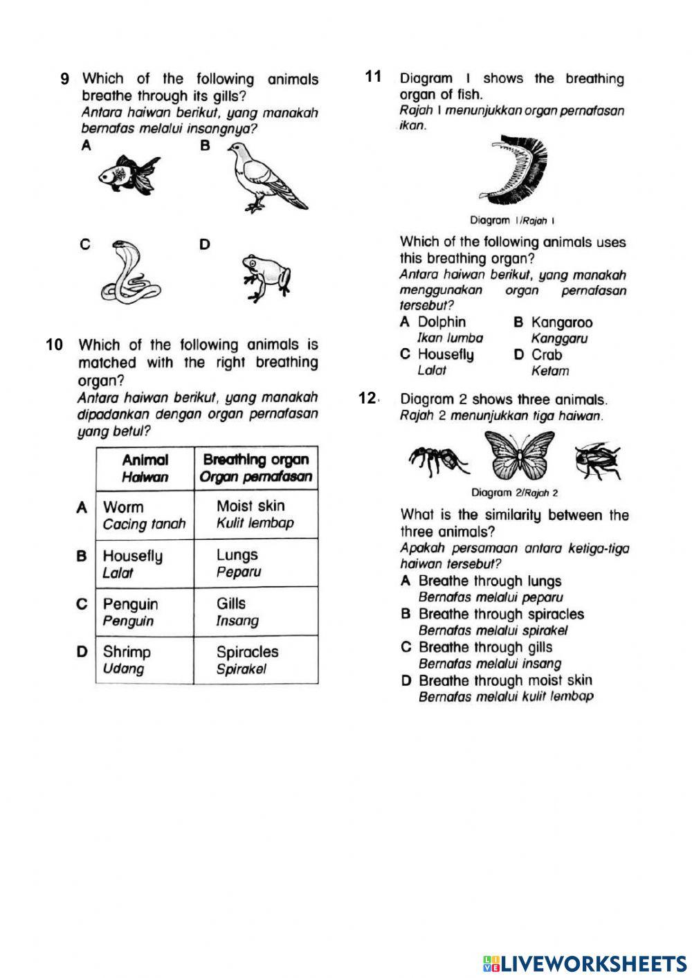 Kuiz sains akhir tahun - tahun 4 dlp
