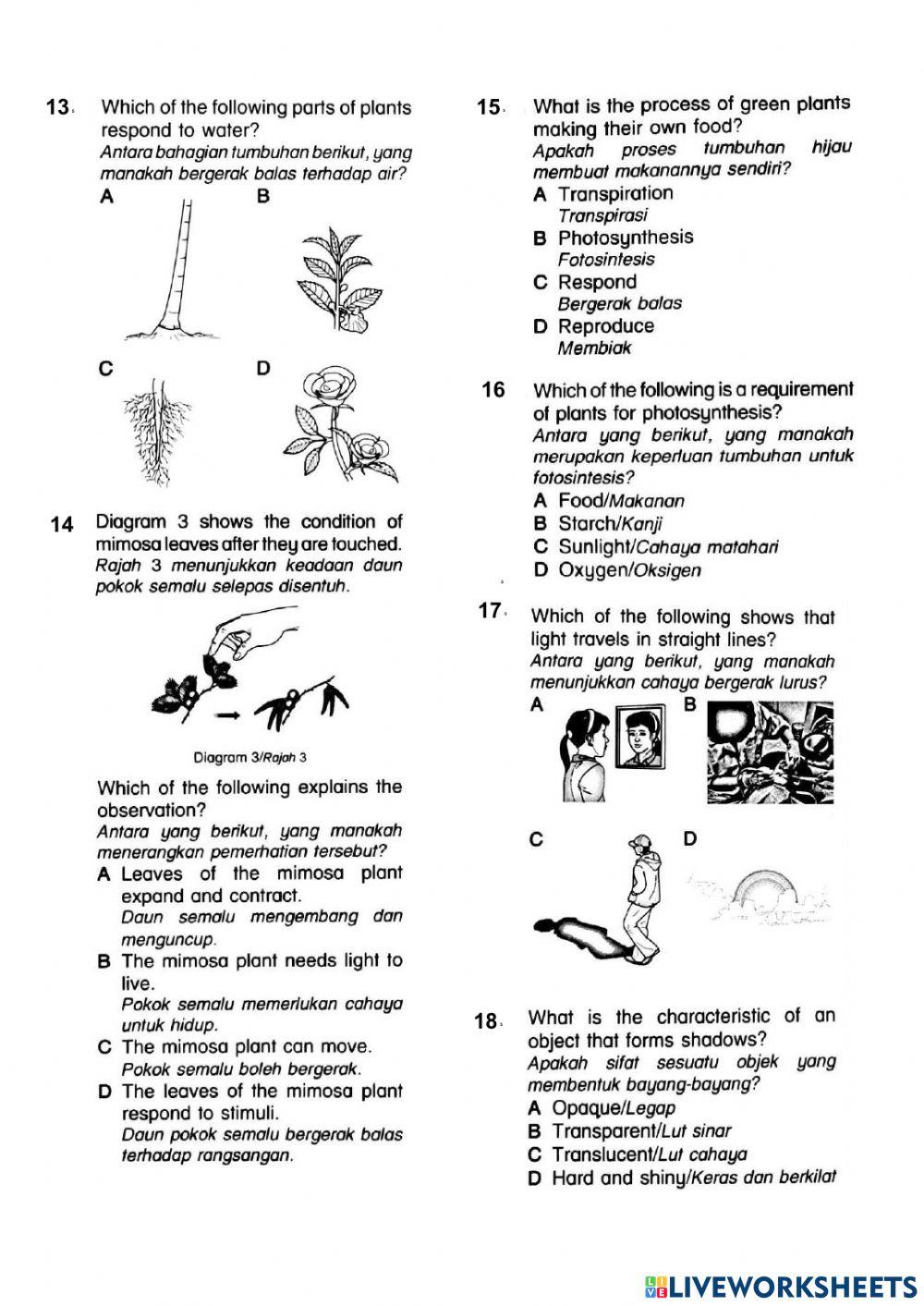 Kuiz sains akhir tahun - tahun 4 dlp