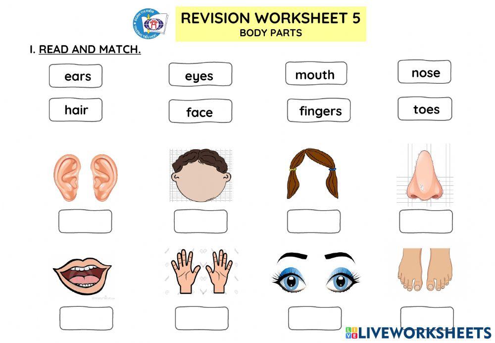 Revision Worksheet 5
