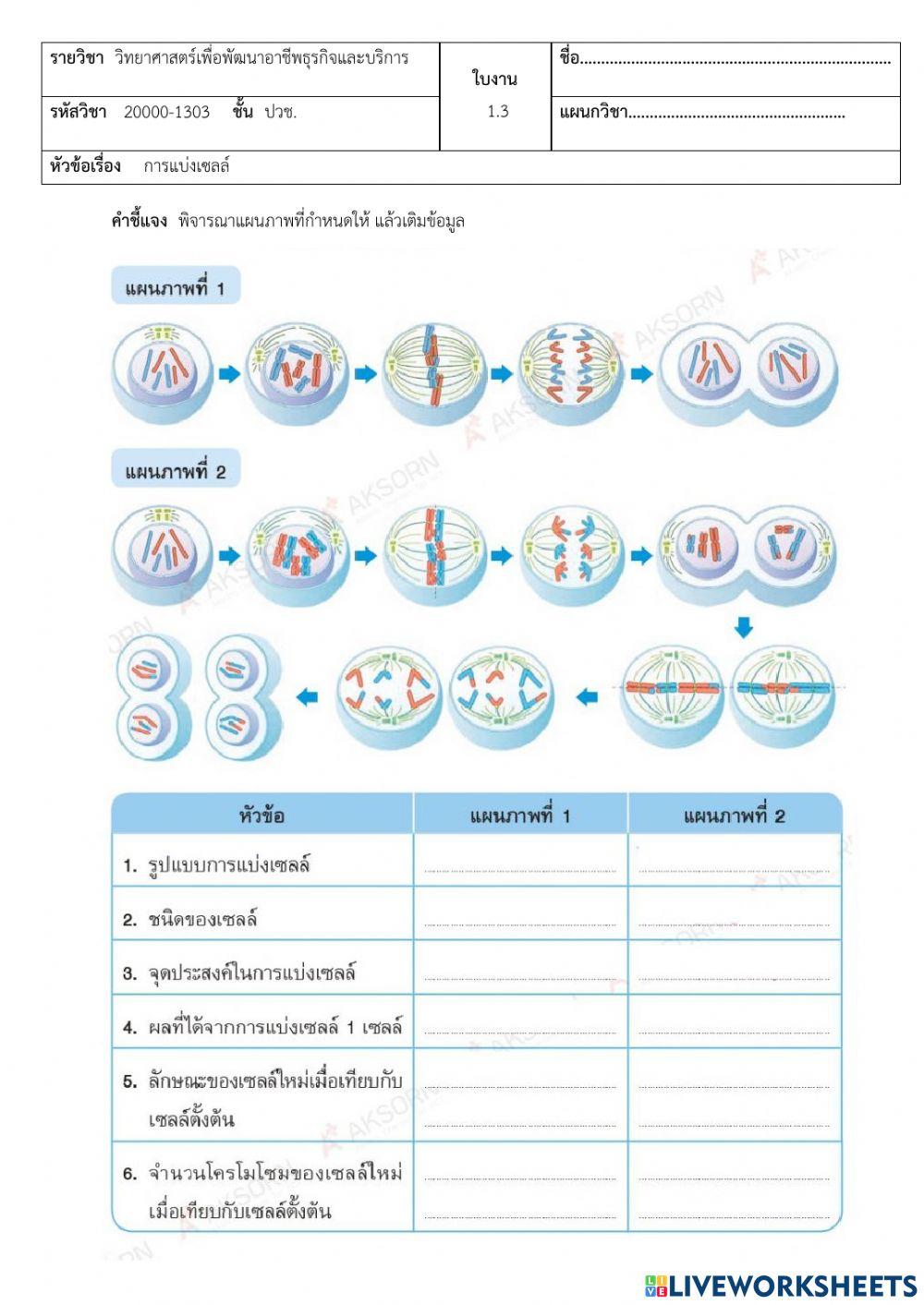 การแบ่งเซลล์