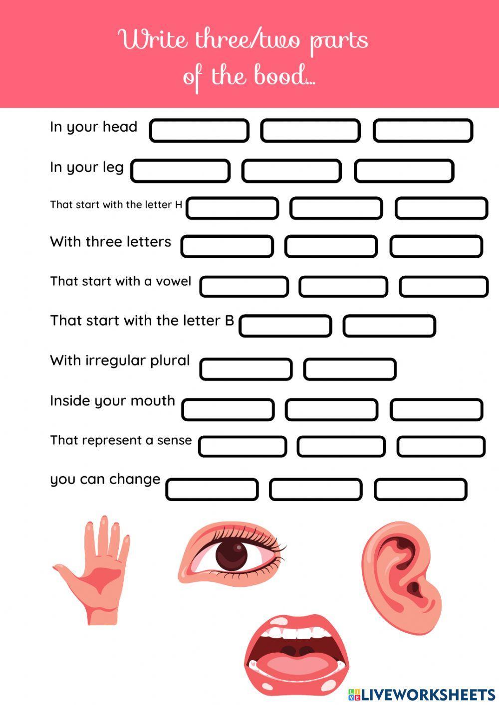 Parts of the body 3 interactive worksheet | Live Worksheets