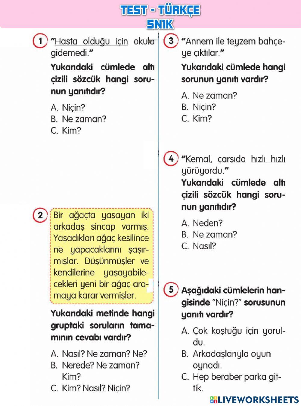 TEST-Türkçe-5N1K