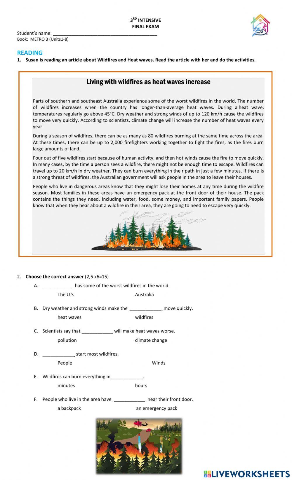 Final exam online exercise for INTE Live Worksheets