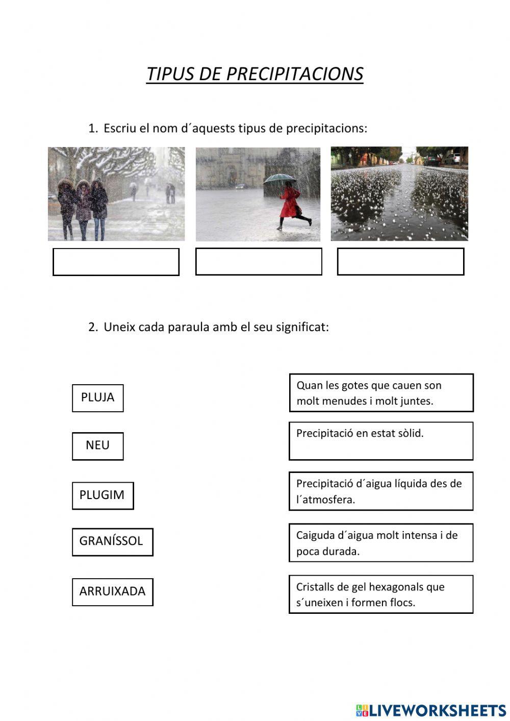 Tipus de precipitacions