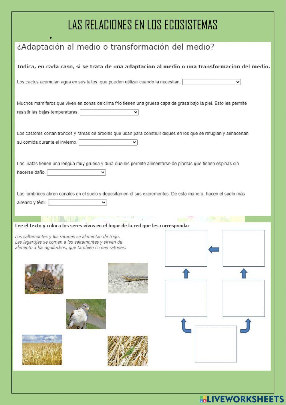 Las relaciones en los ecosistemas