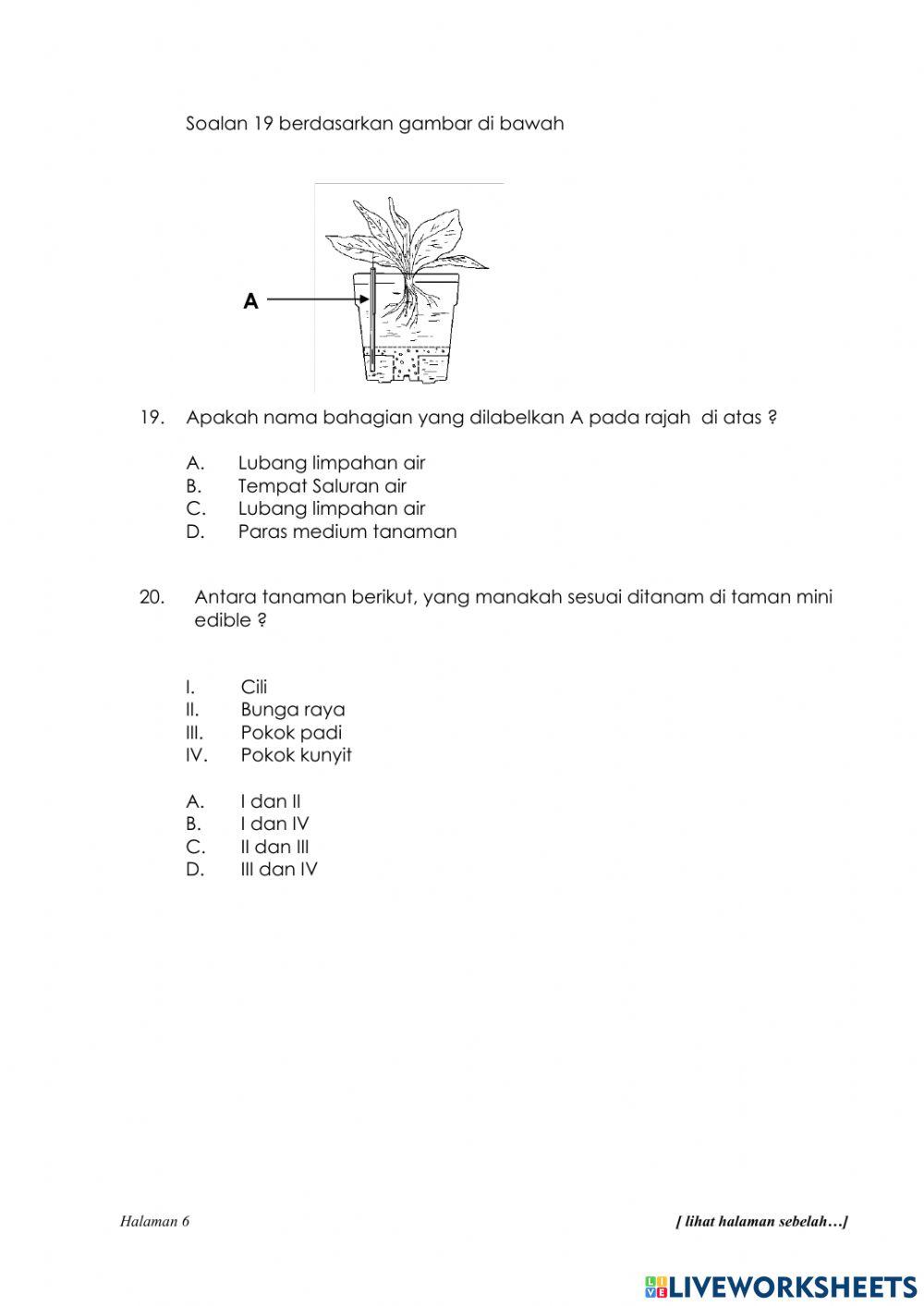 Penilaian sumatif rbt tahun 5